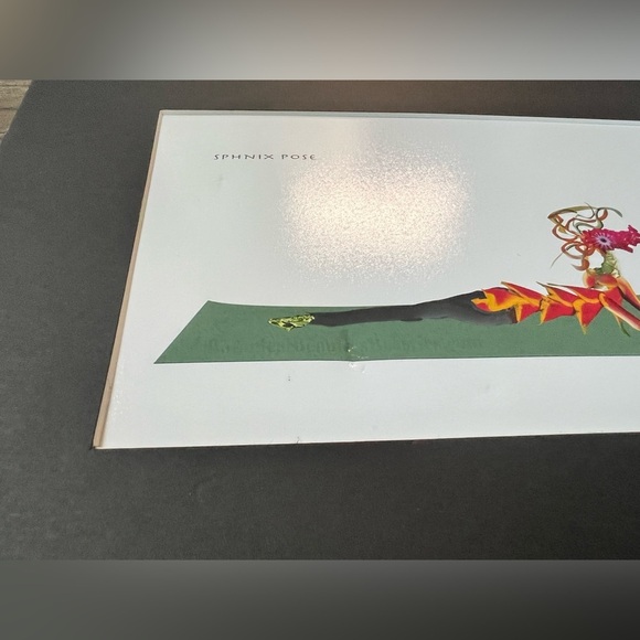 Liz Carren Eco Art Yoga‎ Pose - Picture 2 of 10